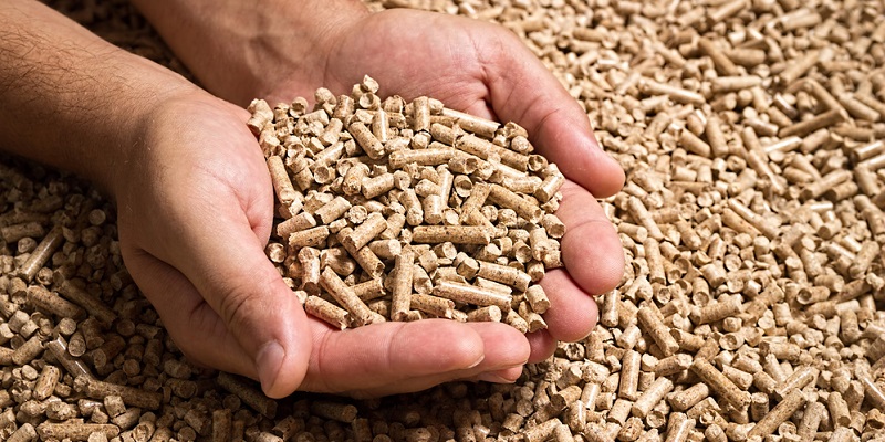 Wood,Pellets,In,The,Background.,Biofuels.,Cat,Litter.,Man's,Hands.